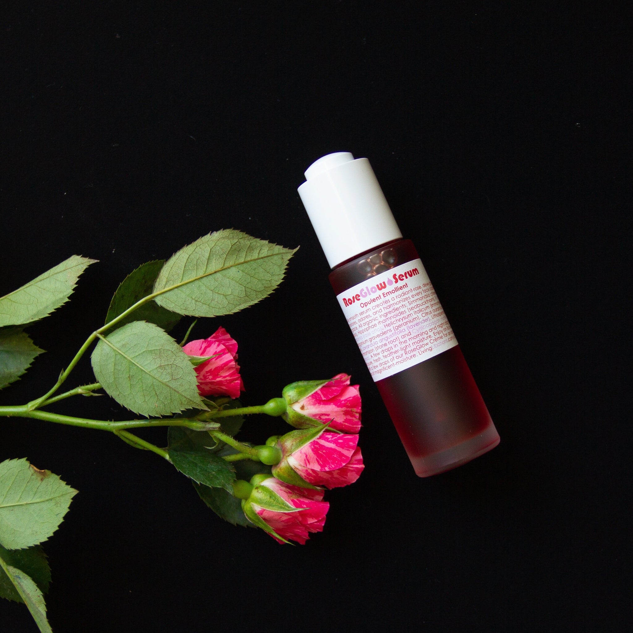 Living Libations Rose Glow Serum. Available at Easy Tiger Toronto.